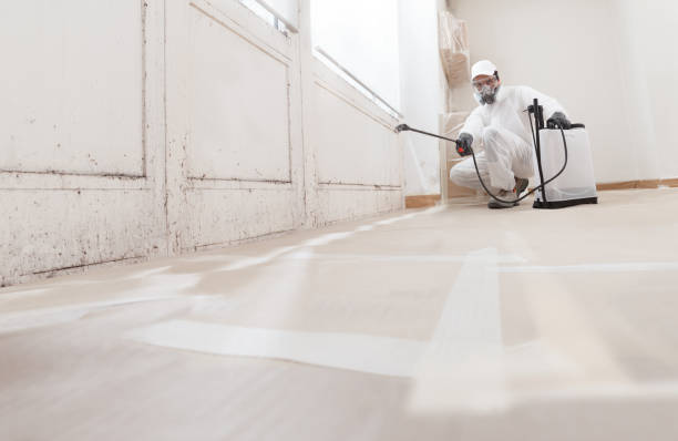 24/7 Emergency Mold Inspection experts in Annandale, NJ